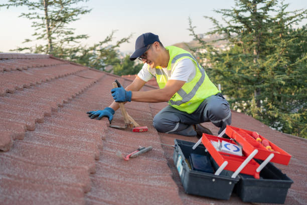Roof Gutter Cleaning in El Cerrito, CA